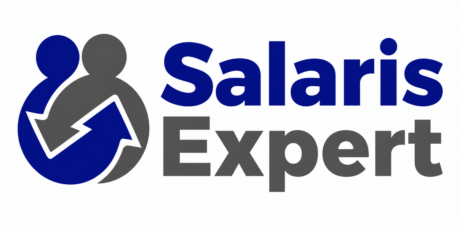 Salaris Expert logo